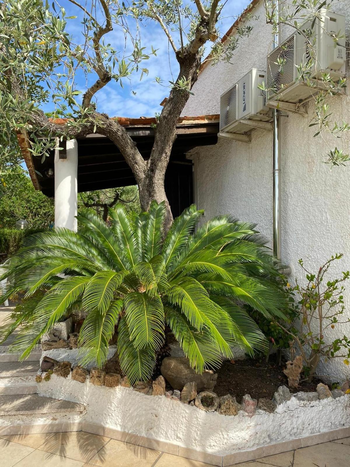 Domo Angheleda - Alghero Casa Indipendente Vicino Al Mare Bagian luar foto